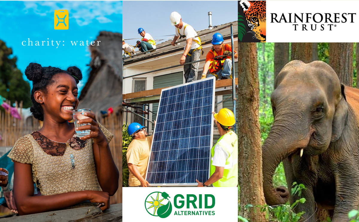 Introducing Brilliant Impact: Empowering Change with Grown Brilliance