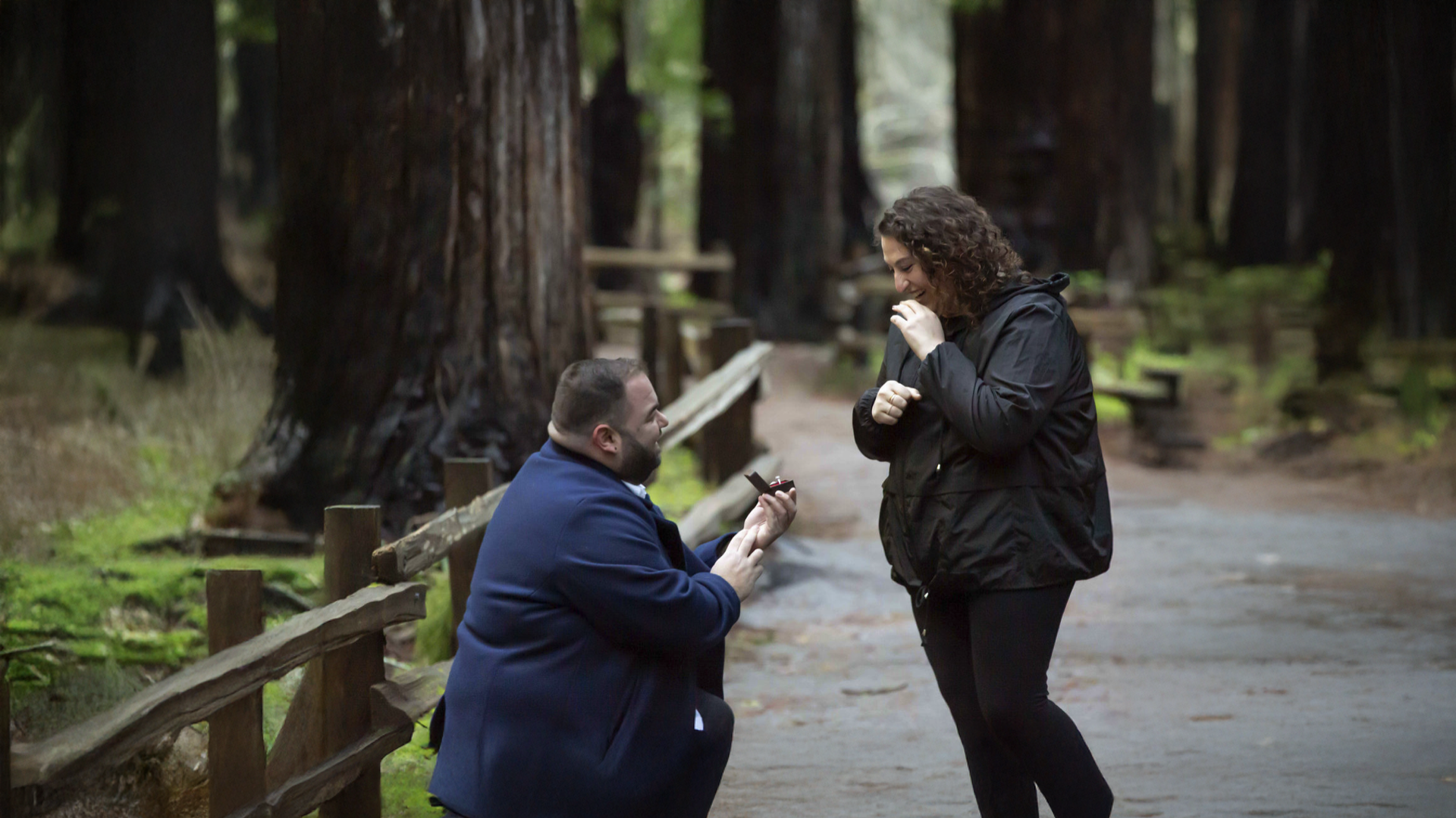 A Brilliant Proposal in the Heart of Muir Woods